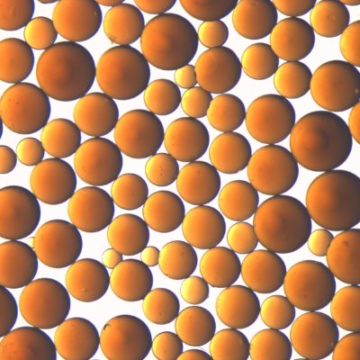 Amberlite IRC50 大孔弱酸陽離子交換樹脂