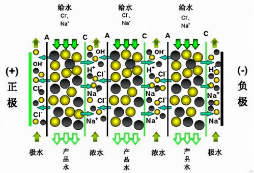 輕松買 放心用 低成本 讓edi技術(shù)走進普通實驗室