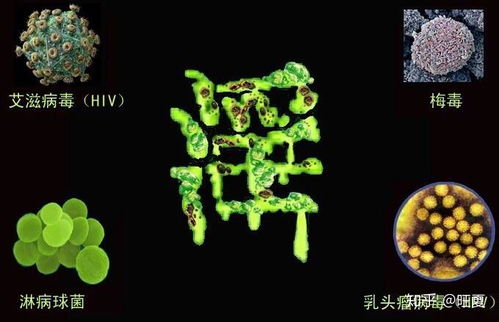 婚外戀,戀童癖 輕則破財(cái)少官,重則傷身要命 貽害子孫 妻離子散