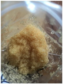 水處理樹脂報價 廠家